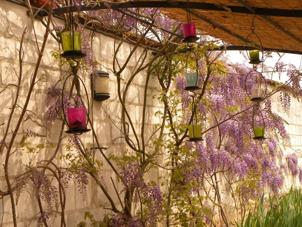 Entre Cour Et Jardin Hotel Châlons-en-Champagne Zewnętrze zdjęcie