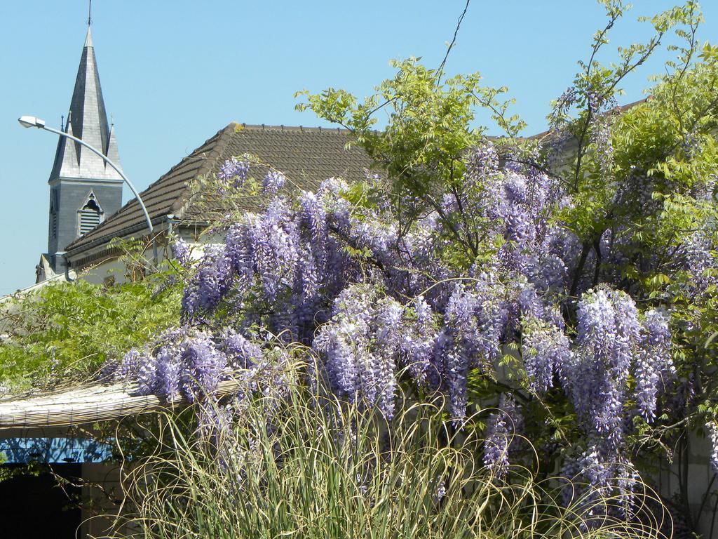 Entre Cour Et Jardin Hotel Châlons-en-Champagne Zewnętrze zdjęcie